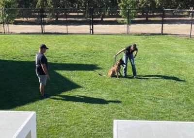 Outdoor police canine dog training area