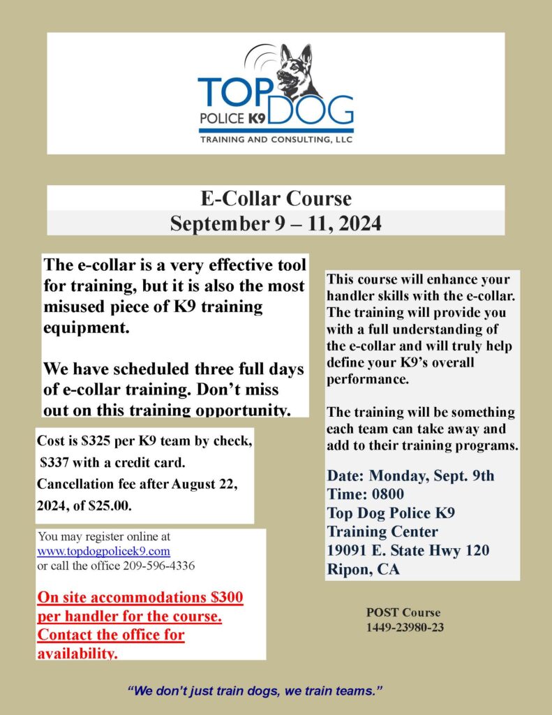 E-Collar Course flyer Sept. 2024